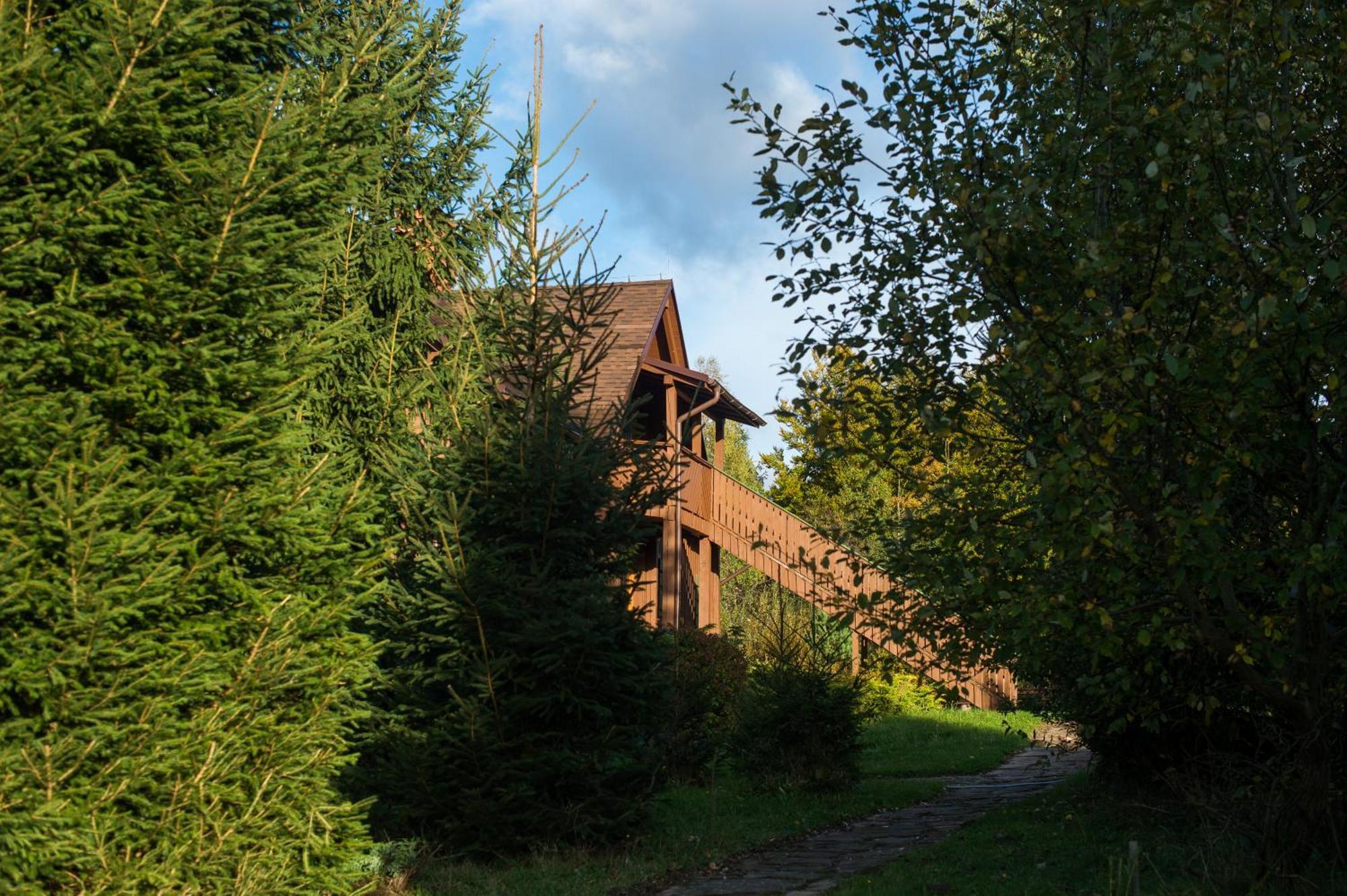 Kocurzonka