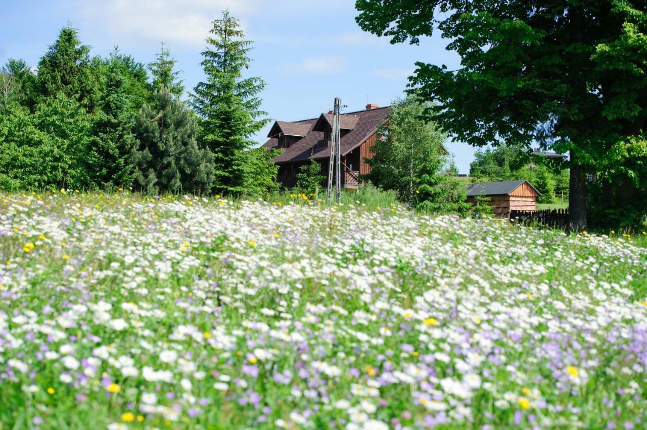 Kocurzonka Lodge Jaworzynka